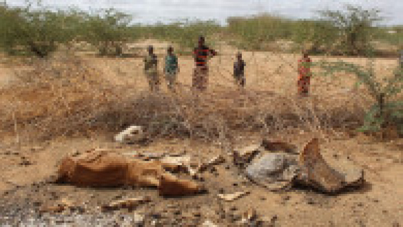 Refugees Flock To Dadaab As Famine Grips Somalia | Poza 8 din 10