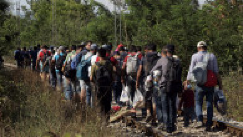 Migrants Attempt To Get Through The Greek/Macedonian Border | Poza 3 din 15