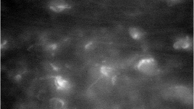 Imaginea nu a fost încă procesată de cercetătorii de la NASA. Aici este surprinsă atmosfera planetei Saturn de la cea mai mică distanță de până acum. Sursa: NASA/JPL-Caltech/Space Science Institute 