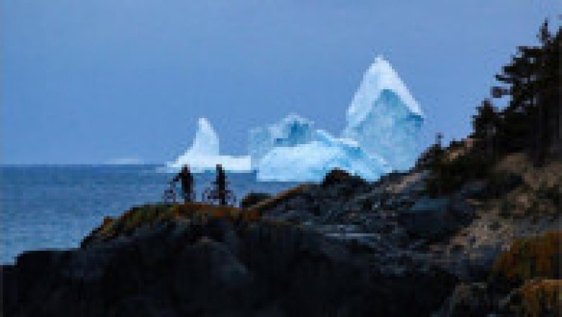 aisberg9 | Poza 6 din 8