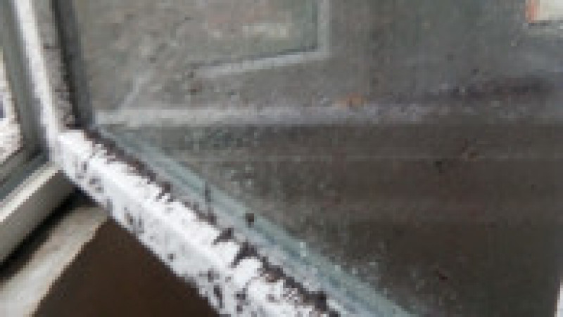 ploaie bloc Ciheiului Oradea (15) | Poza 7 din 9