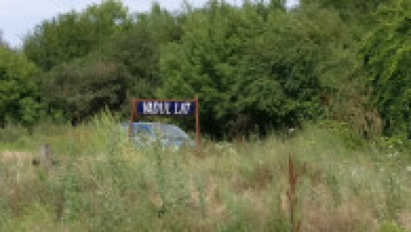 tren in camp 180717 (5) | Poza 5 din 5