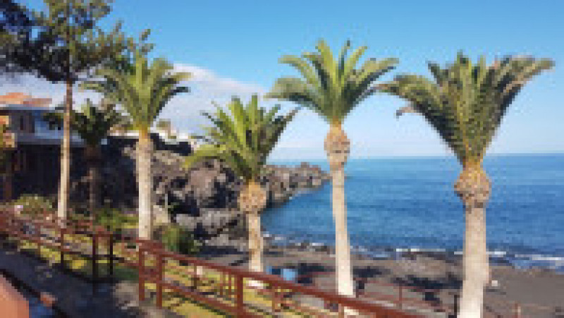 vacanta Tenerife 120817 (32) | Poza 42 din 54