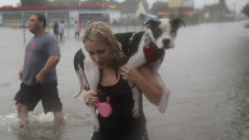 HOUSTON, TX - AUGUST 27: Naomi Coto carries Simba on her shoulders as they evacuate their home after the area was inundated with flooding from Hurricane Harvey on August 27, 2017 in Houston, Texas. Harvey, which made landfall north of Corpus Christi late Friday evening, is expected to dump upwards to 40 inches of rain in Texas over the next couple of days. (Photo by Joe Raedle/Getty Images) | Poza 15 din 15