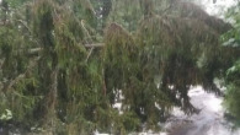 urmari furtuna Bihor ora 22 170917 (3) | Poza 2 din 3