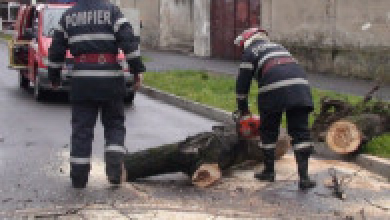 pompieri interventii Beius 200917 (7) | Poza 7 din 8