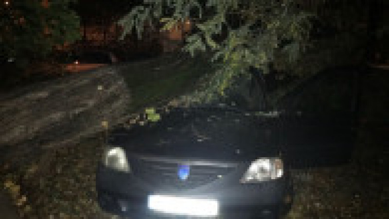 Copac cazut pe masina Sect 6 (2) | Poza 3 din 8