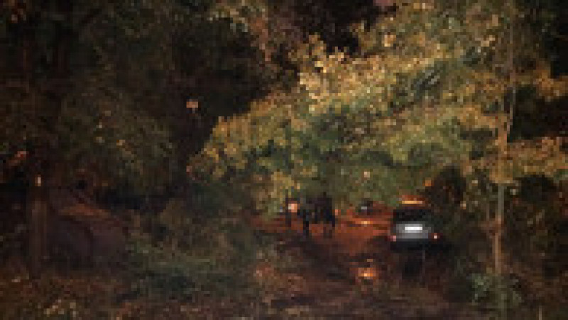 Copac cazut pe masina Sect 6 (3) | Poza 5 din 8