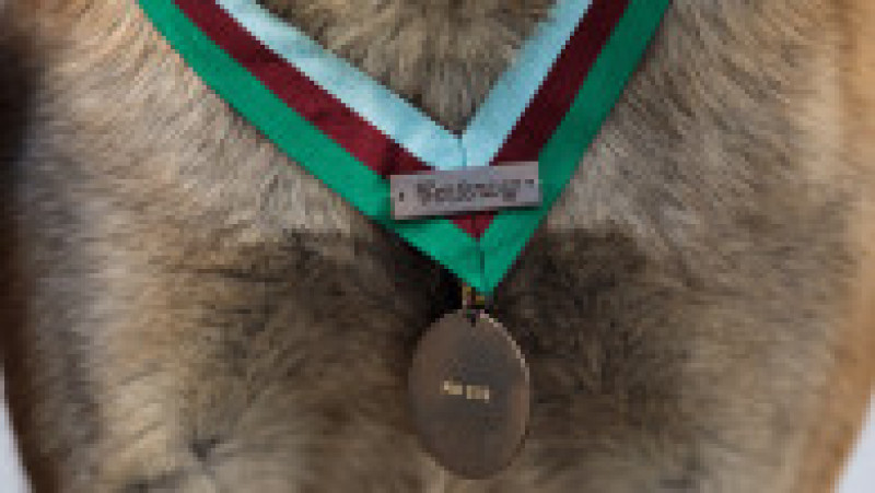 Animal Victoria Cross For Hero War Dog | Poza 4 din 4