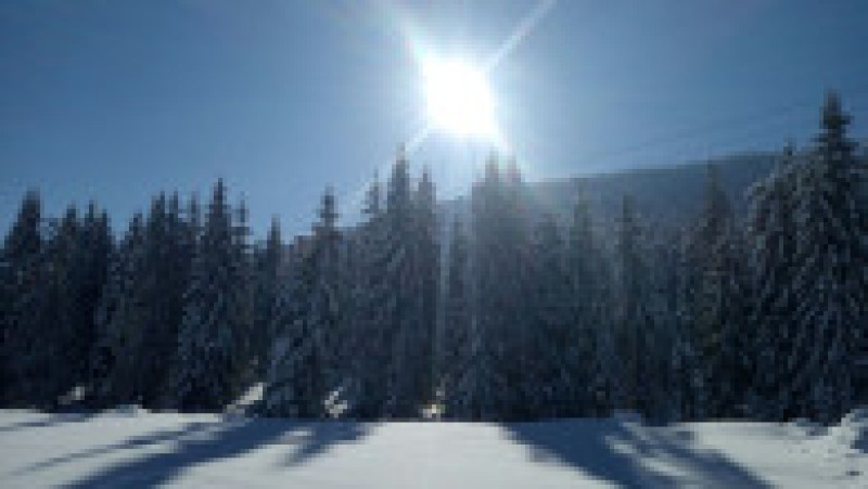 arieseni (11) | Poza 11 din 26