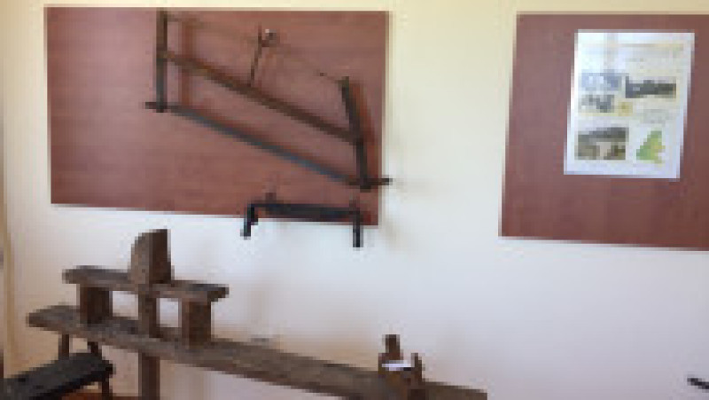 foto: ABA Crişuri | Poza 5 din 6