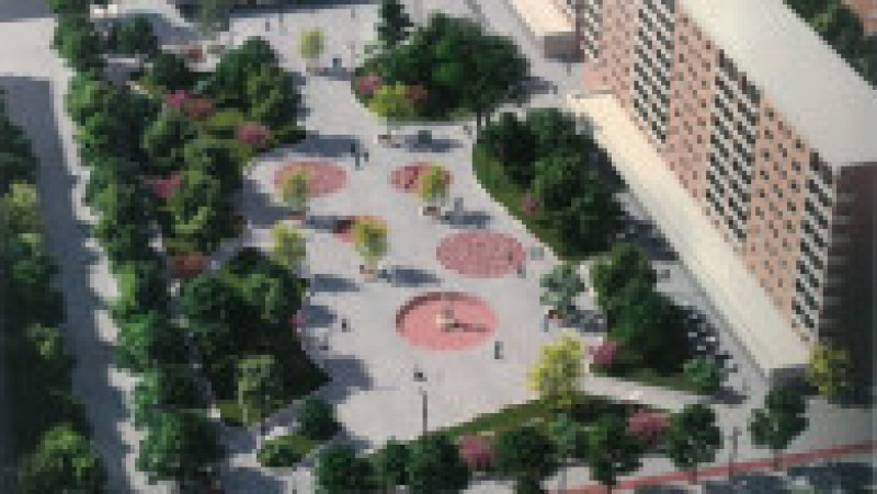 proiect Magnoliei1 | Poza 1 din 6