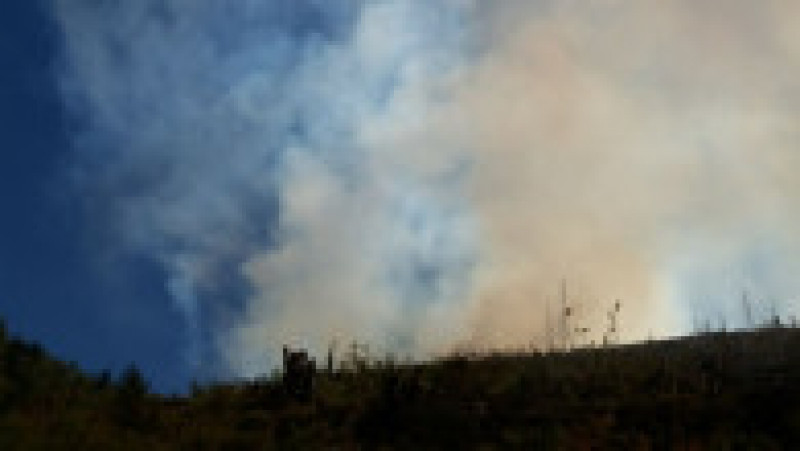 incendii munte Maramures (1) | Poza 1 din 13