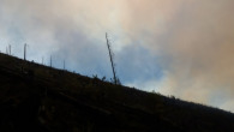 incendii munte Maramures (10) | Poza 10 din 13