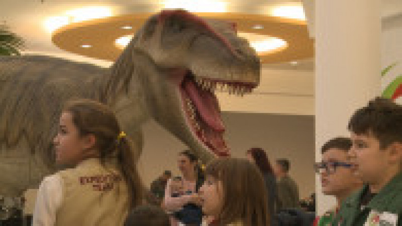 dinozauri la mall3 | Poza 3 din 5