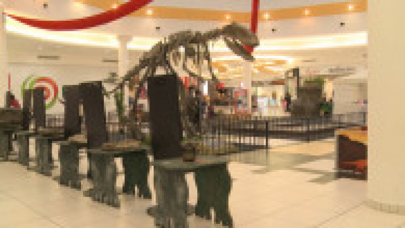 dinozauri la mall | Poza 4 din 5