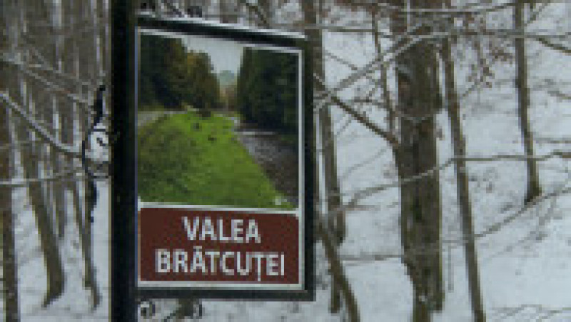 Valea Bratcutei | Poza 3 din 18