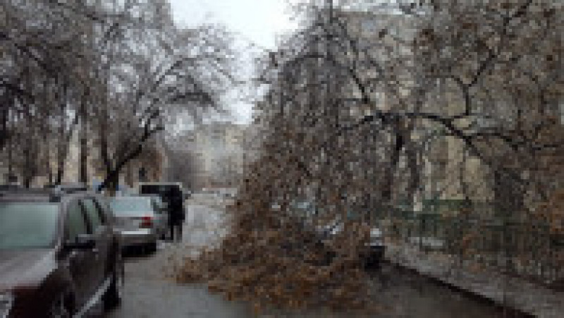 Copac cazut masini Str Motoc Sect 5 260119 (4) | Poza 12 din 16