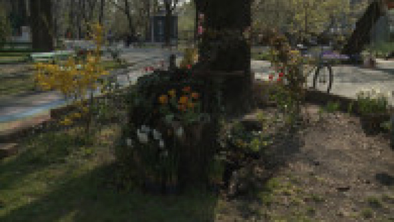 flori parc Oradea14 | Poza 17 din 18