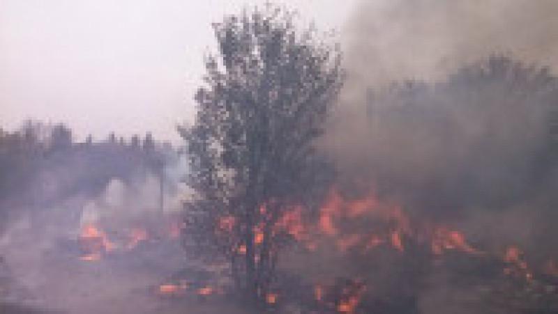 incendiu Timisoara 4 | Poza 4 din 6