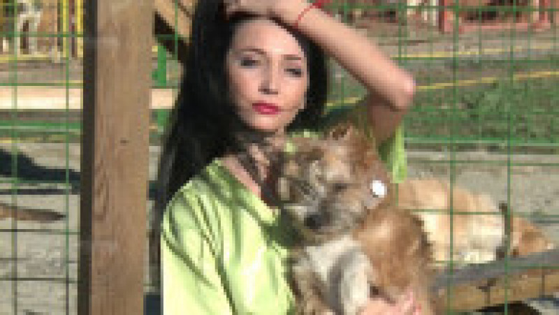 Campanie adoptii canine 03 | Poza 3 din 14