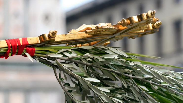 Tradiții și obiceiuri de Florii 2026. Ce e bine să faci în Duminica Floriilor și cum se păstrează salcia sfințită