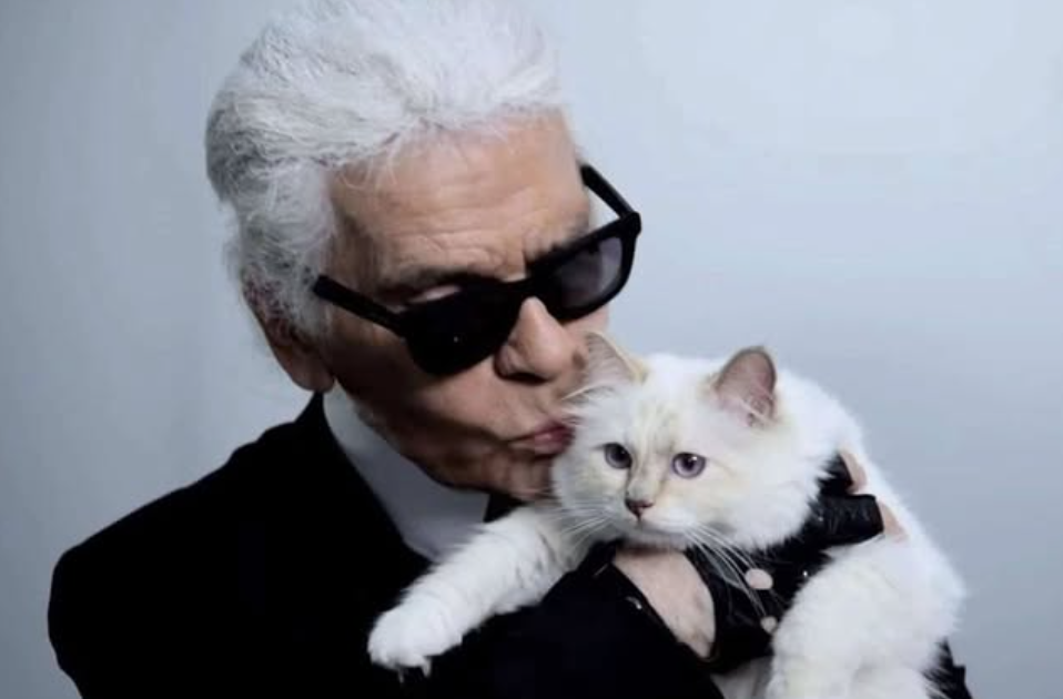 Choupette,cea mai bogată pisică din lume a rămas fără moștenire. Felina lui Karl Lagerfeld, nu a primit niciun ban din averea designeru