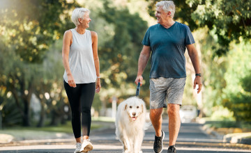Retirement, fitness and walking with dog and couple in neighborhood park for relax, health and sports workout. Love, wellness and pet with old man and senior woman in outdoor morning walk together