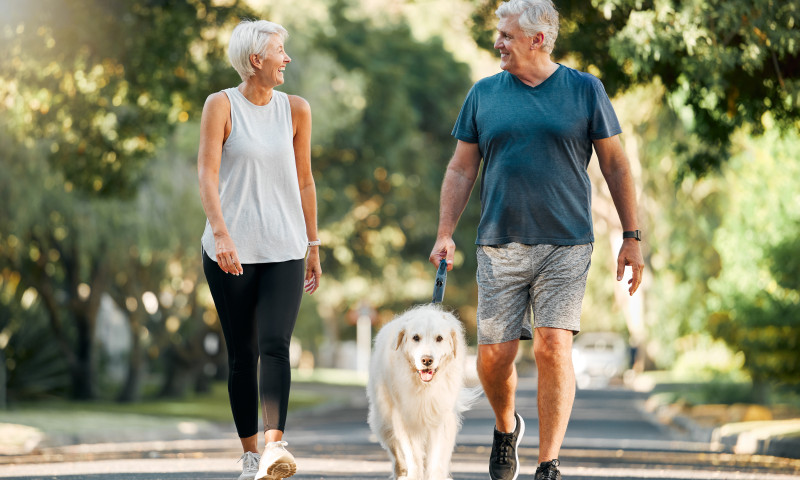 Retirement, fitness and walking with dog and couple in neighborhood park for relax, health and sports workout. Love, wellness and pet with old man and senior woman in outdoor morning walk together