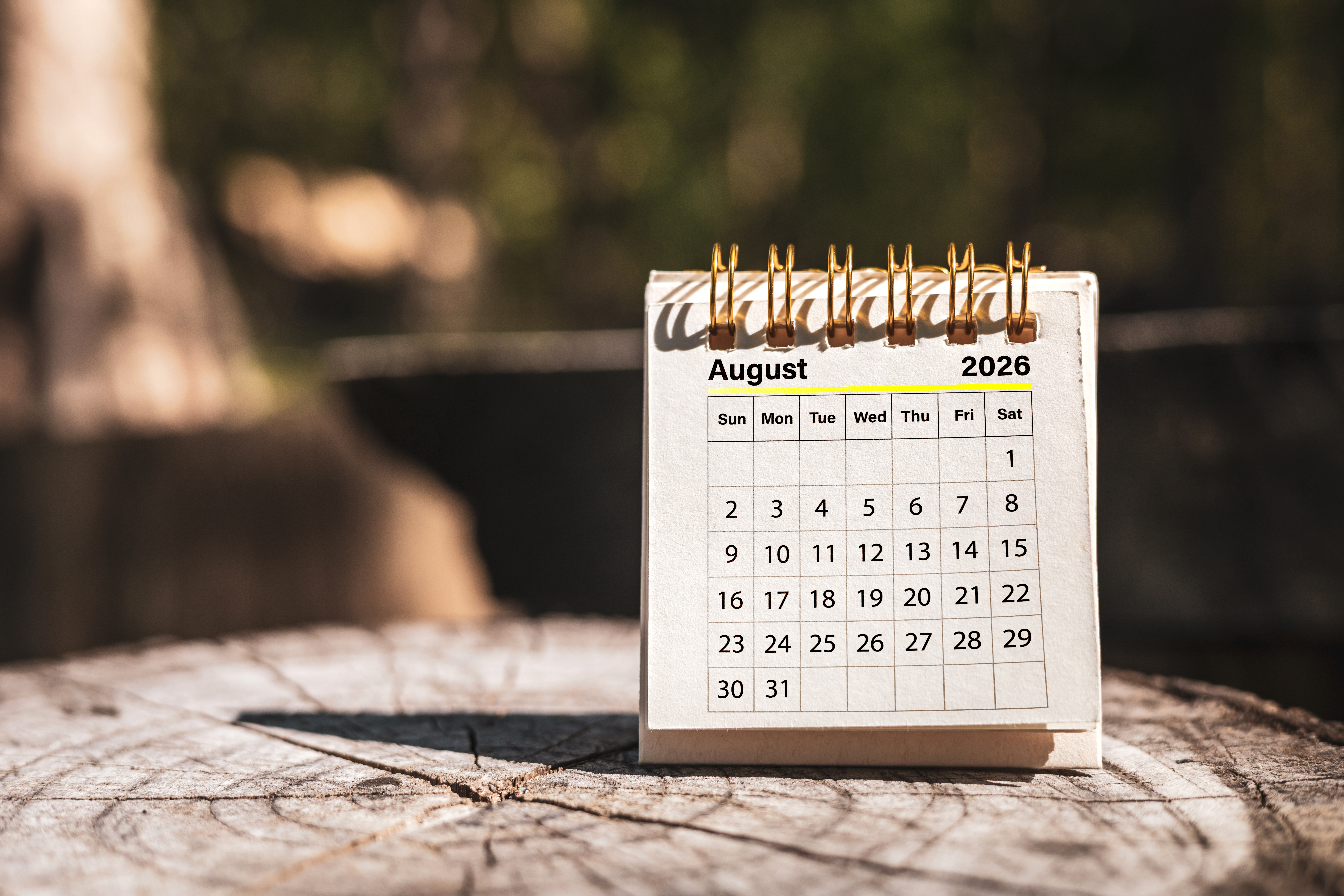 Sărbători legale 2026: Câte zile libere avem în 2026 și de ce sunt mai puține decât în 2025