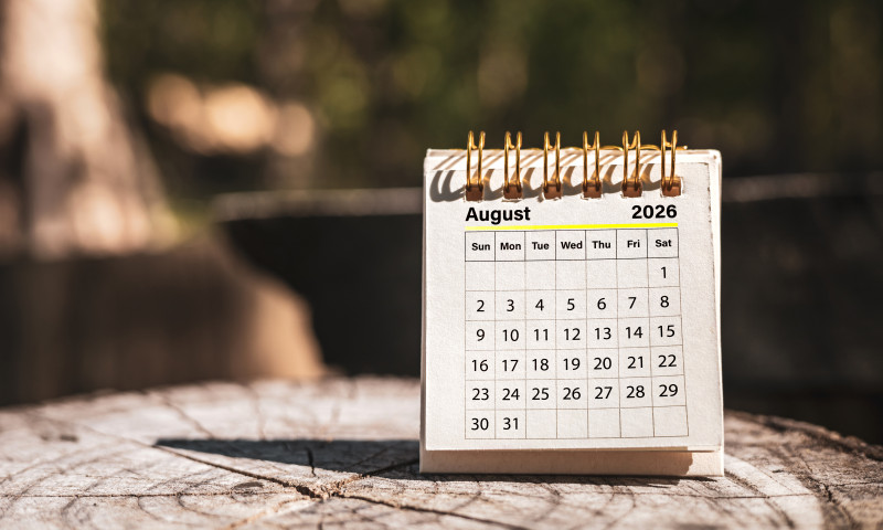 Calendar page August of the year 2026 on a natural background, with copy space and business design.